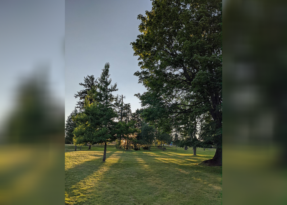 #86. Brier, Washington